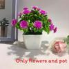 Flowers Eighteen Simulated Daisy Pine Cone Artificial Green Plant Potted Plant