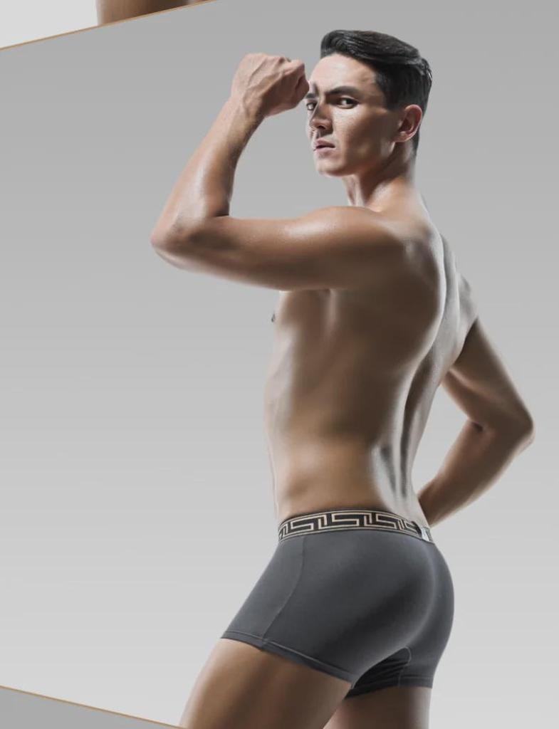 Men's Elephant Underwear, Ice Silk Breathable Mesh U-Convex Large Size Boxer Briefs