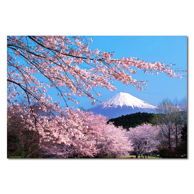 

5D алмазная живопись Япония Фудзи гора украшение дома Сакура мозаика вышивка полный квадратный/круглый DIY ремесла украшение подарок Full Round 30x40CM