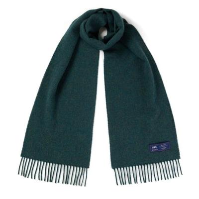 Sciarpa in Lana Merino ABRAHAM MOON 25cm - Verde Acqua