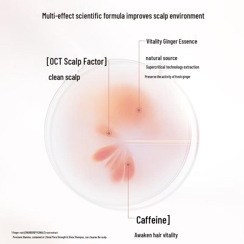 L'Oréal Ginger Strengthening Shampoo & Conditioner Set