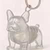 Pet Dog Hair Collection Pendant Storage Box Key Chain Transparent Dog Hair Storage Capsule Souvenirs Gift