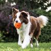 Indestructible Squeaky Dog Balls Interactive Dog Toys for Aggressive Chewers Large Medium