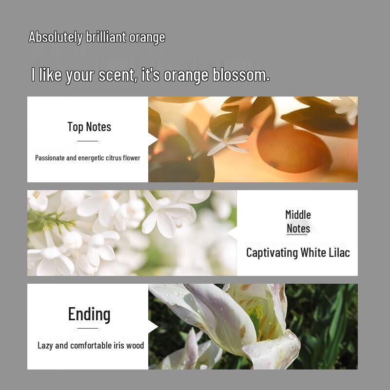 Boti Tea Tree Anti-Dandruff Shampoo 650ml