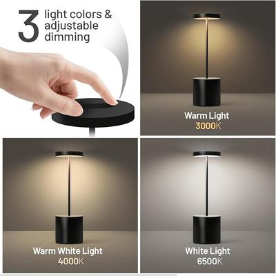 USB Modern LED Desk Lampwith Touch Controlled Tri Color Lighting and Iron Base, Perfect for Decorating Living Rooms and Bedrooms