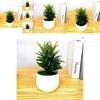Fake Succulent Plant Pot With Pvc Material For Home Decor And Office Display