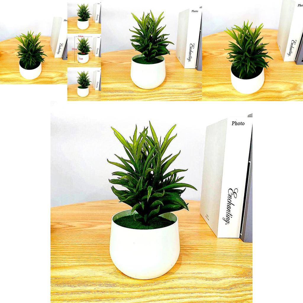 Fake Succulent Plant Pot With Pvc Material For Home Decor And Office Display