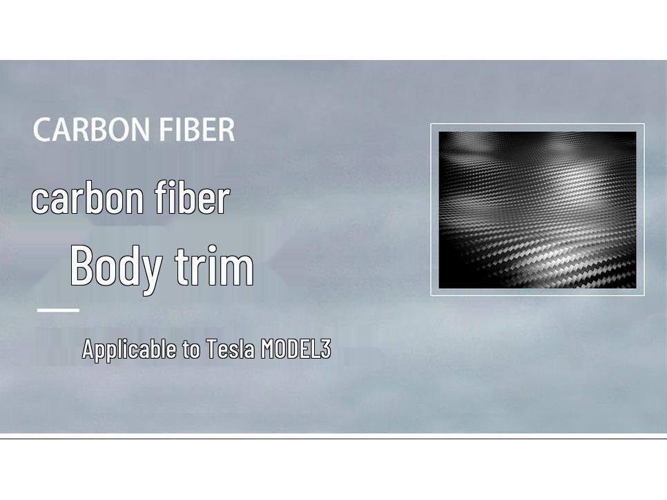 Tesla Model 3 Custom Dry Carbon Fiber Exterior Anti-Collision Strip