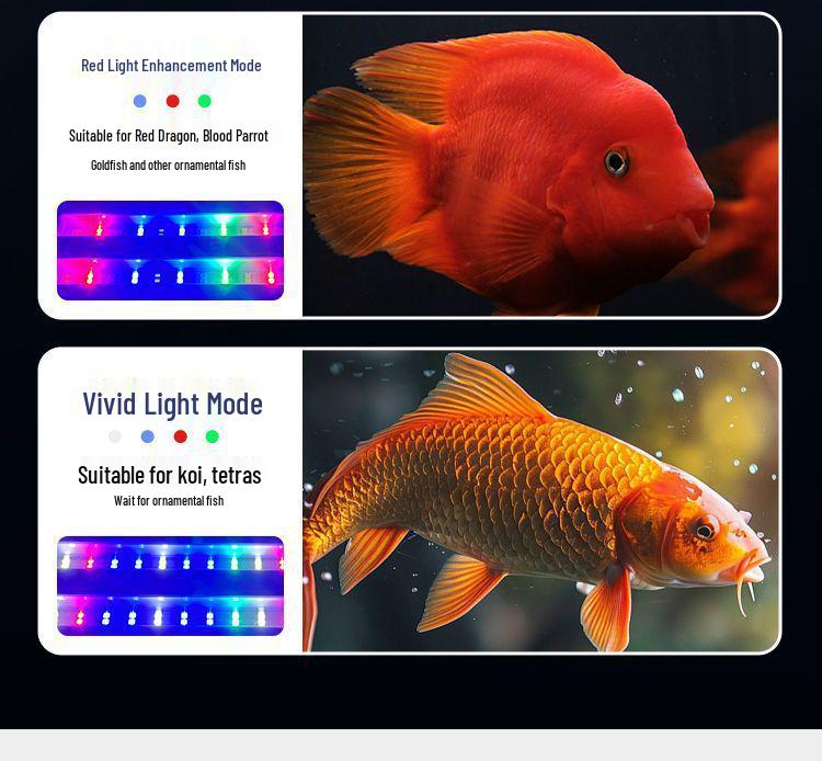 Super Bright Clip-on Full Spectrum LED Aquarium Light, Waterproof and Splashproof, Ideal for Mini Aquariums.