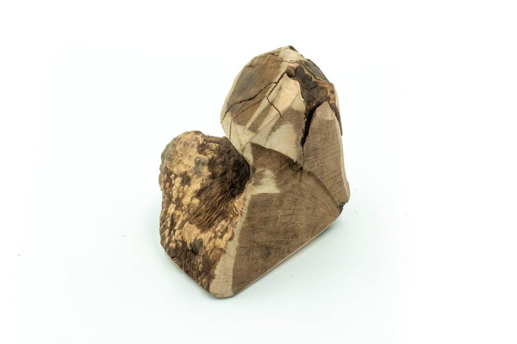 Briar Root Chew 4DOGS Size L