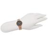 Daniel Wellington Petite 28mm Unisex Quartz Watch for Men and Women, Rose Gold (4) DW00600217 [Parallel Import]