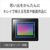 SONY Compact Digital Camera VLOGCAM Vlog Camera ZV-1F Body, Includes Windscreen, 20mm F2.0 Prime Len