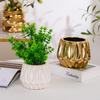 flower pot electroplated gold simple succulent pot creative household green plant potted plant New Year's desktop ornament
