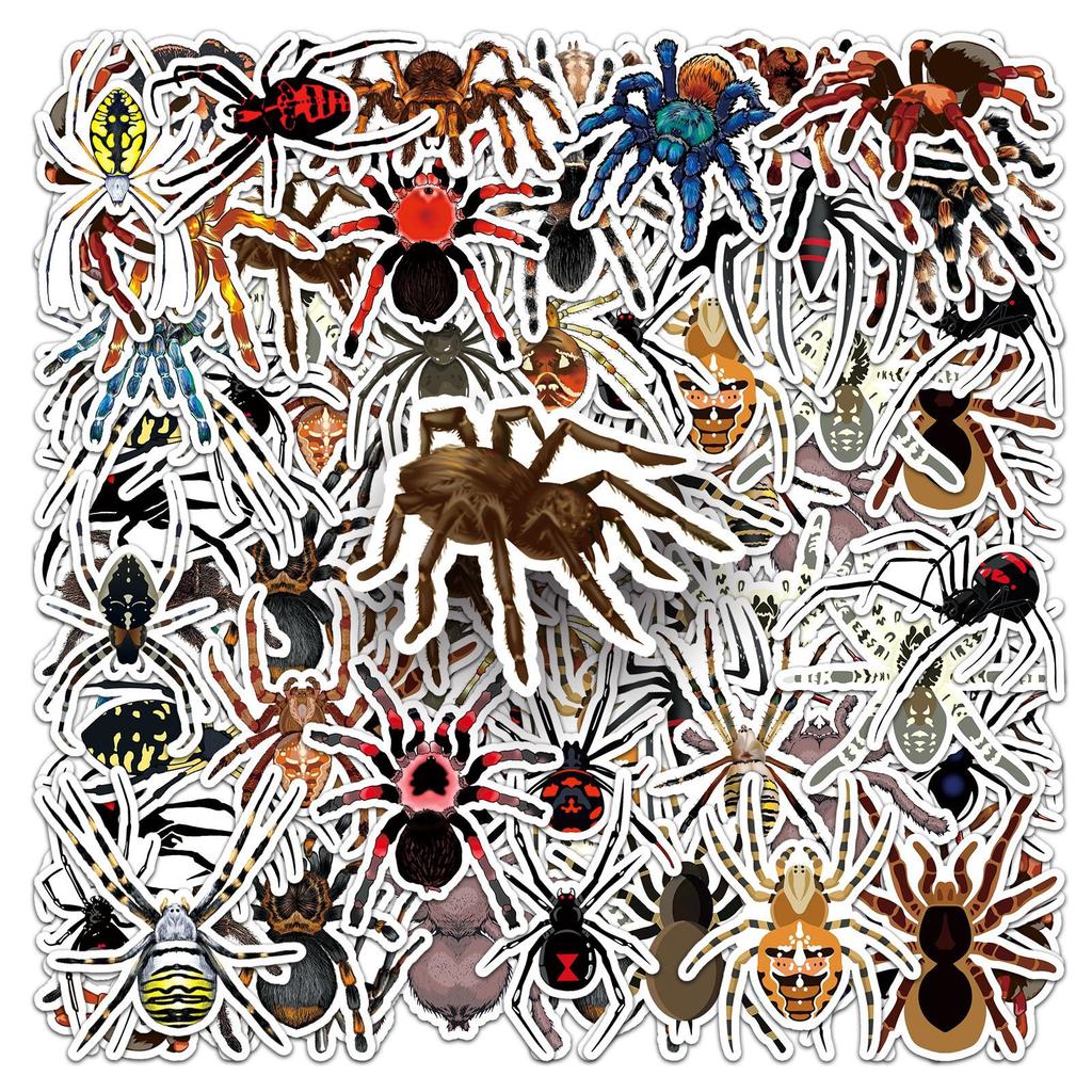 50 Spider Doodle Aufkleber Personalisierte Cartoon Insekt Tier Dekoration Wasserbecher Schreibwaren Handy Computer Aufkleber