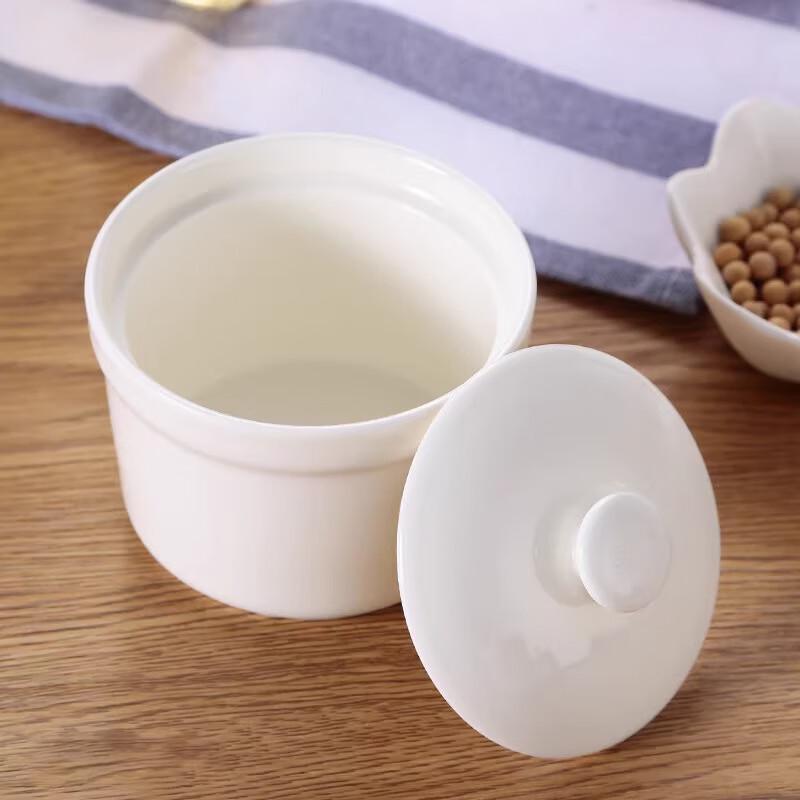 Homeglen Ceramic Double Boiler Stew Pot