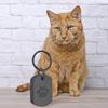 Pet Cremation Jewelry for Ashes Pet Urns Keychain with Paws Print for Dog Cats Ashes Animal Lover Keepsakes Gift