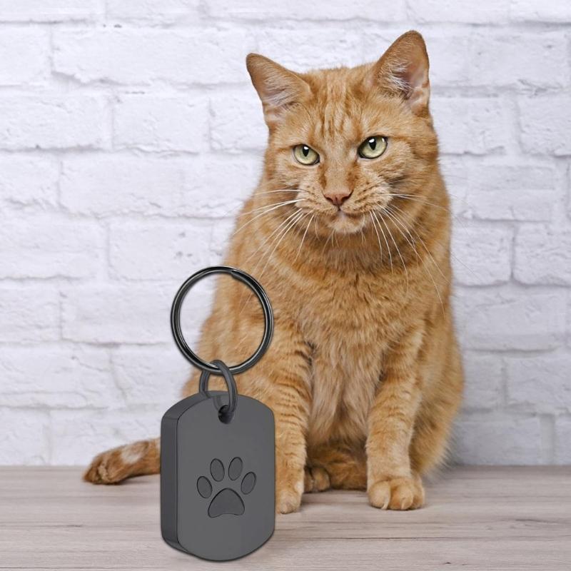 Pet Cremation Jewelry for Ashes Pet Urns Keychain with Paws Print for Dog Cats Ashes Animal Lover Keepsakes Gift