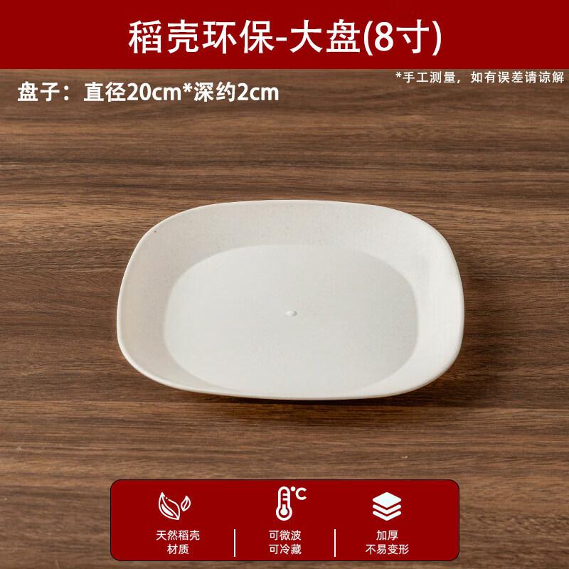 Premium Disposable Dinner Plates
