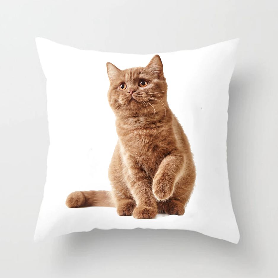 Dog and Cat Pillow Covers Decorative Cushion Cover Living Room Decoration Polyester Pillow Sofa Warm Family Pillow Case 45x45cm