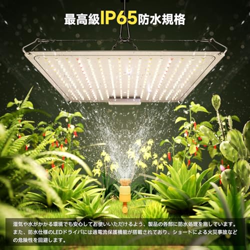 60W LED Grow Light Panel [Improved Heat Dissipation/IP65 Waterproof] Warm White, 256 LEDs, Full Spectrum, UV/IR, Long Life, Quantum Lamp, Indoor Grow