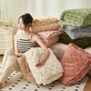 Warm Winter Blanket Plush Taffeta Fleece Soft Thick Bed Blankets for Sofa Single Double Couple Furry Bedspread Throws Blankets for Sofa Bed