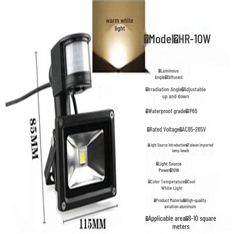 Rongyu 10W Waterproof Motion Sensor Light