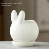 Adorable Animal Ceramic Succulent Pot for Desktop Decoration