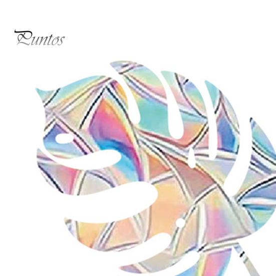 Christmas Window Sticker Protects Birds Prevent Collisions Colorful Reflective Static Adhesion Elk Snowflake Pattern Rainbow Prism Home Decor Decals