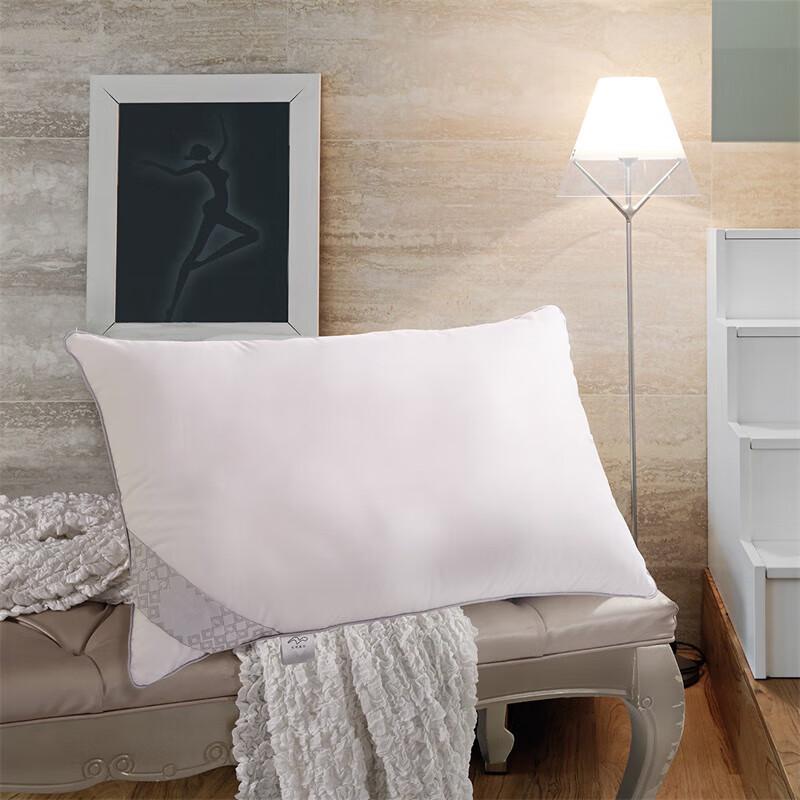 Mercury Home Anti-Bacterial Comfort Pillow