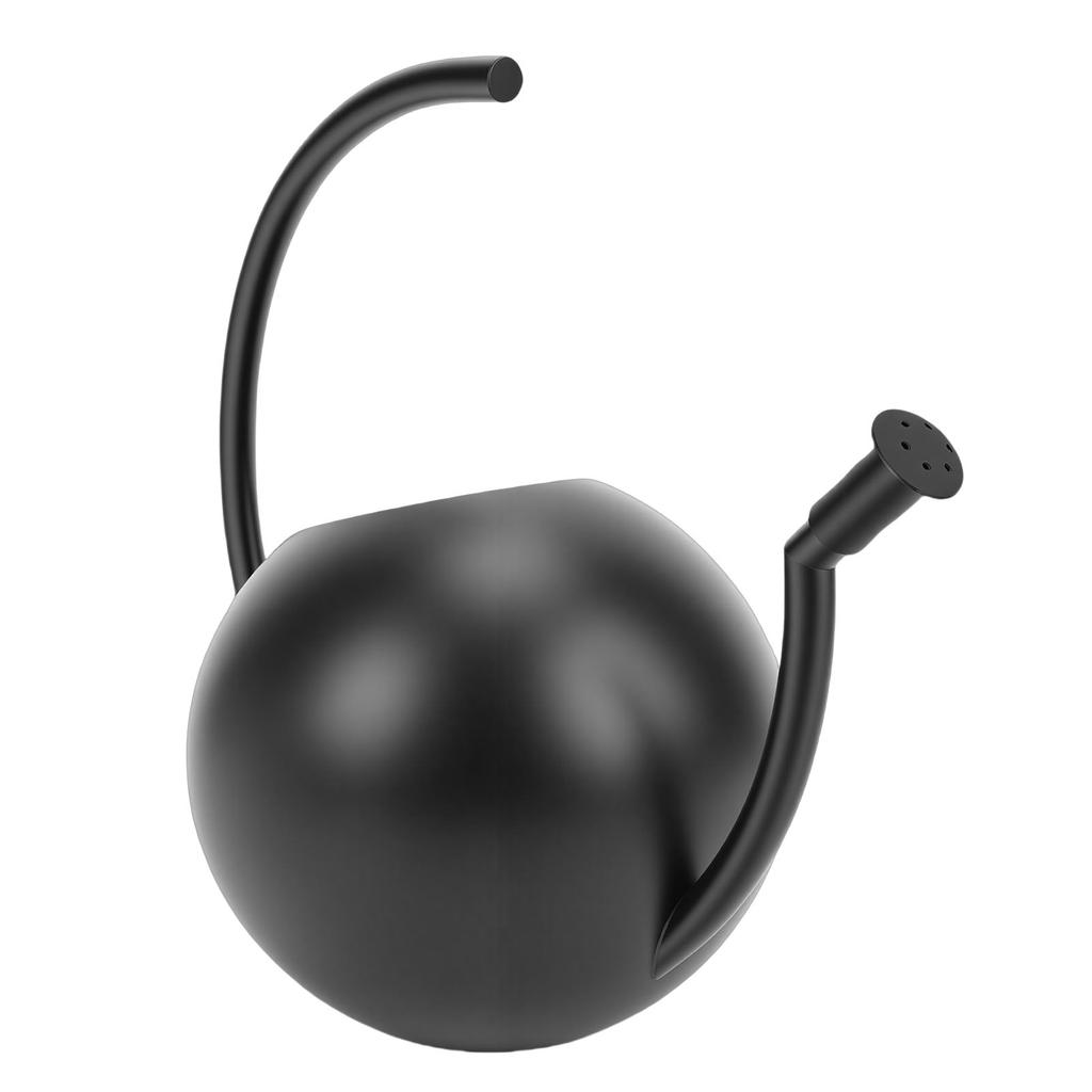 Watering Can, 1000ml Stainless Steel Indoor Plant Watering Pot with Comfortable Handle and Spout, for Garden Decor