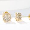 European & American Style Four-Claw Zircon Star Hip-Hop Earrings - All-Match Fashion Jewelry