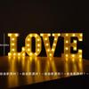 LED Happy Birthday String Lights for Party & Photo Decoration