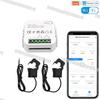 Tuya Smart Dual Channel Electricity Meter with WIFI/Zigbee & CT Transformer
