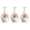 Dettol Antibacterial Moisturizing Foam Hand Wash