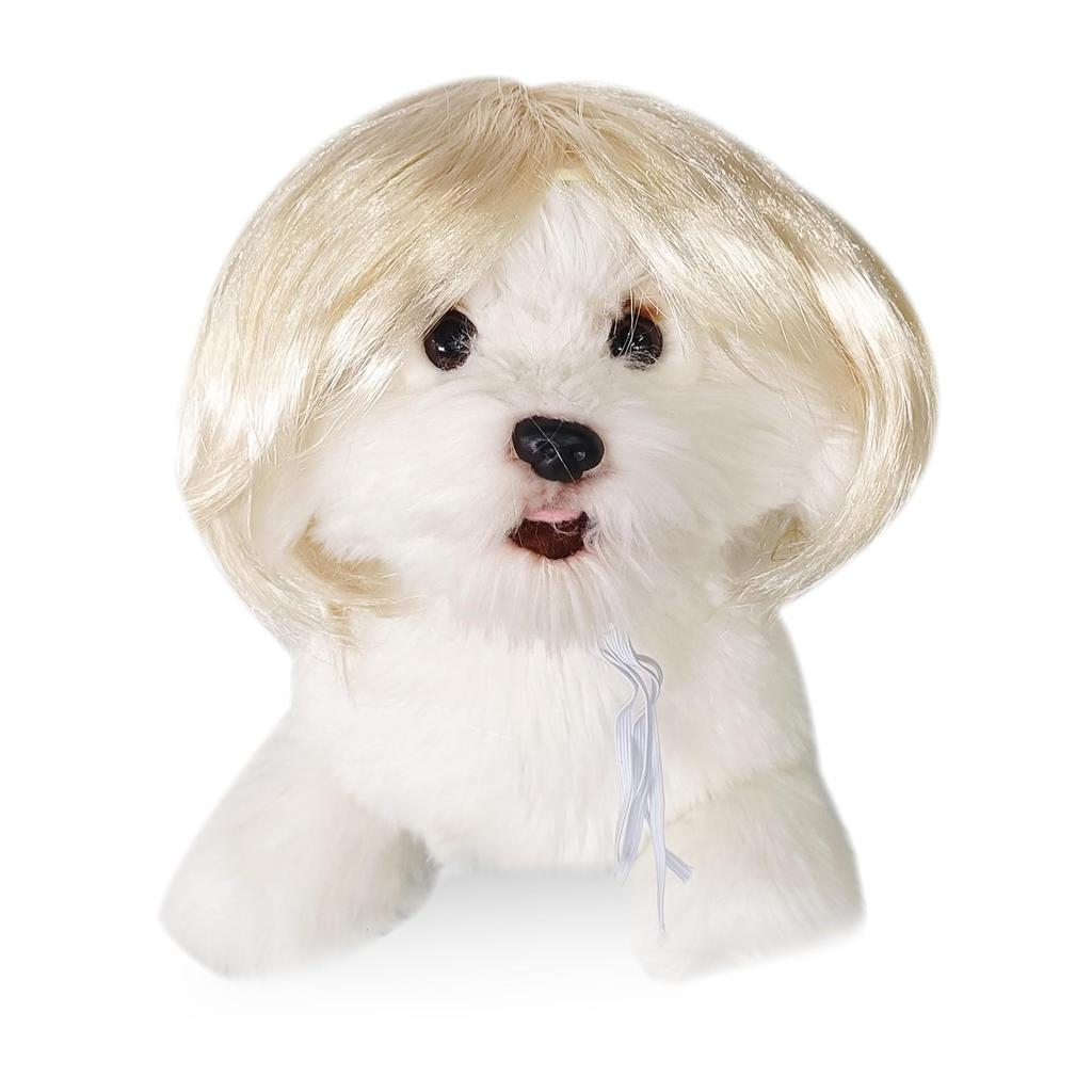 Parrucche Chic per Animali Domestici: Frange alla moda e caschetti carini per cani