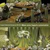 Green Stretch Milk Silk Fabric for Wedding and Hotel Drapes