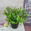 LUOZZY 3 PCS Simulated Green Plants Decor Artificial Four Leaf Clover Fake Plant Lifelike Fake Greenery Foliage for St. Patrick's Day Summer Garden