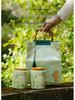 Elegant Green Tea Cloth Bag and Ceramic Can Packaging - Longjing, Biluochun, Maojian, Maofeng Styles