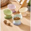 Rainbow Gradient Pet Bowl Ceramic Food Bowl Slanted Mouth Feeders for Cats