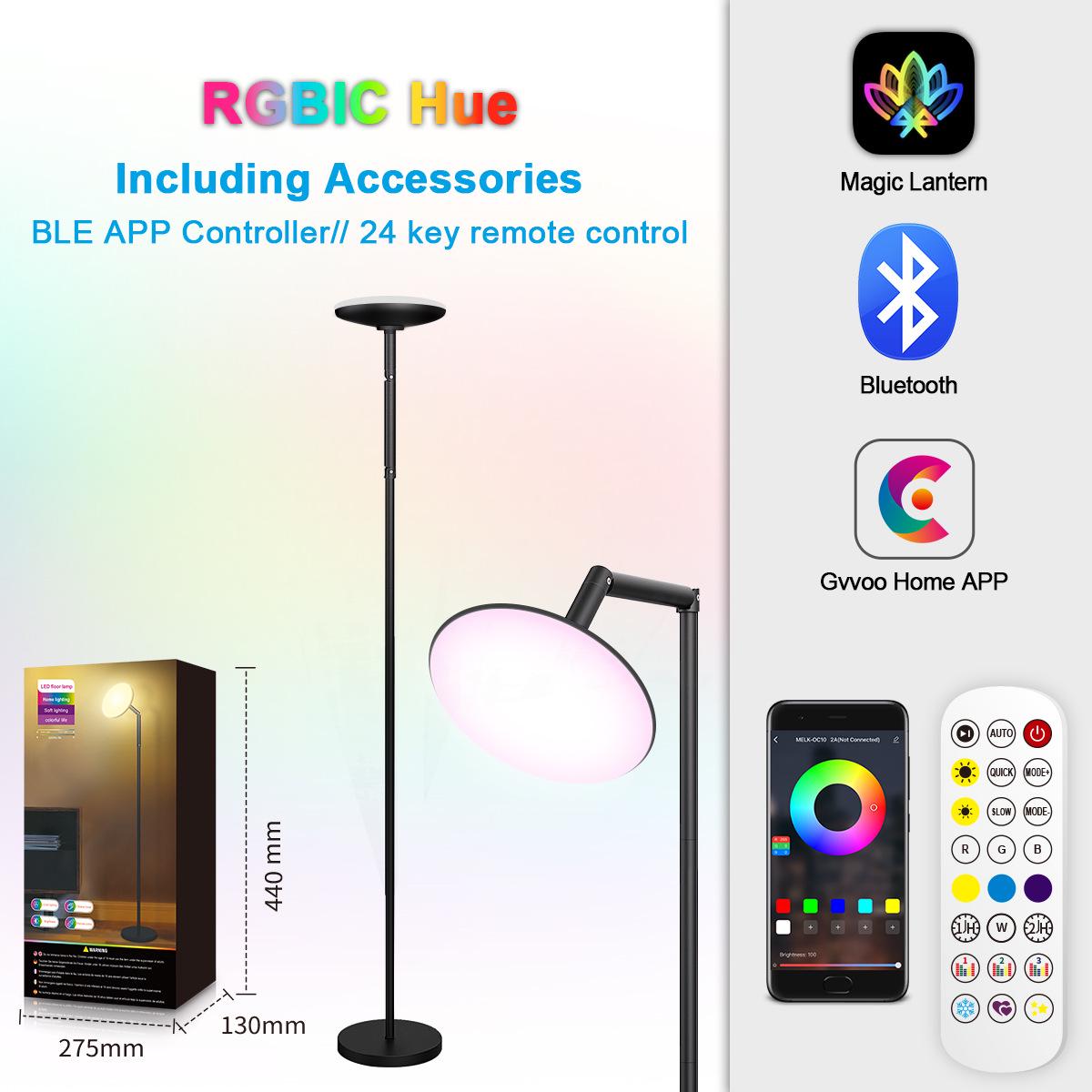 Multifunctional LED Reading & Bluetooth Floor Lamp with Eye Protection 12V (Color Box Packaging)