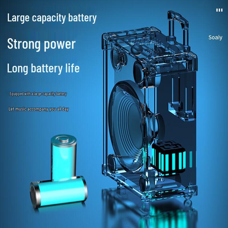 Soaiy SA-X39 12-inch Outdoor Portable KTV Speaker