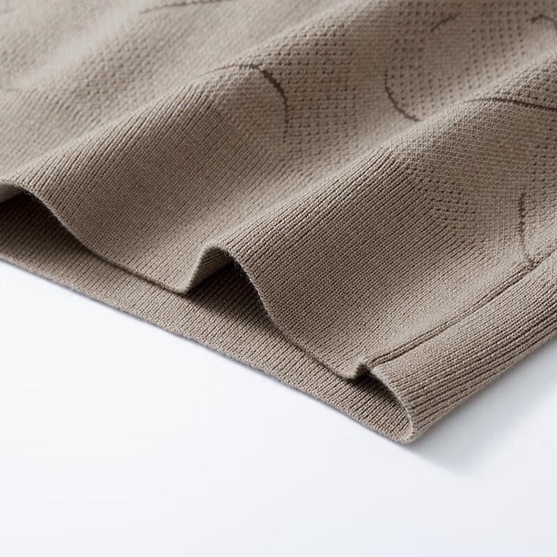 Hodo Men's Autumn Wool Blend Jacquard Knit Sweater