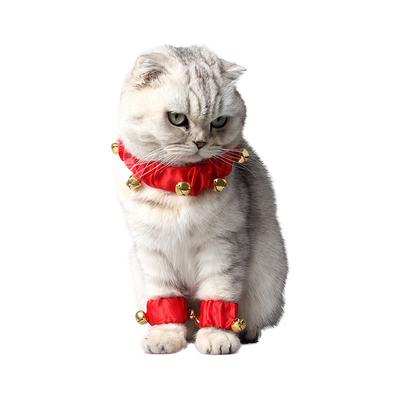 Katter – Kattkläder