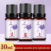 Mugwort Rose 10ml Massage and Spa Essential Oil for Beauty, Sauna, Foot Bath, Gua Sha.