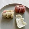 20g Rabbit Shaped Pastry Moulds Mooncake Molds Mooncake Stamps Hand Pressure Plastic Material Baking Accessories Gadgets