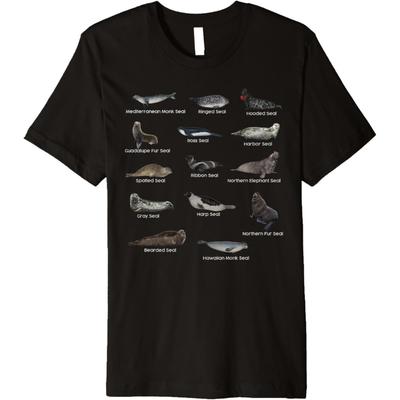 Arten von Robben Ohrenrobben Echte Ohrenlose Robben Robbenliebhaber Premium T-Shirt