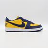 FJ4206-700 Nike Terminator Low University Gold Navy Michigan White (Men's)