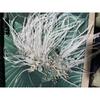White Feather Tiaras Crystal Hair Clip for Bridal Stylish Wedding Headpiece Accessories Engagement Party Hair Accessory