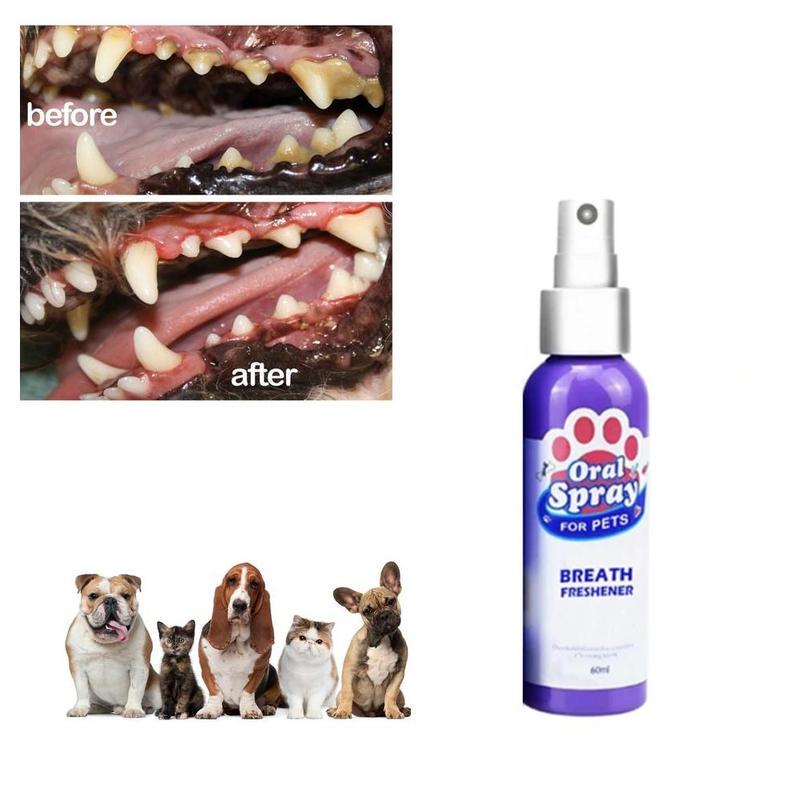 dog teeth spray