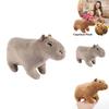Adorable Capybara Plushie High-quality Short Plush Material